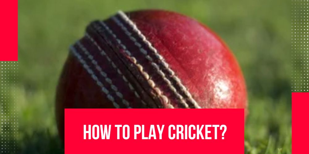 Learn the basics of cricket rules in this guide